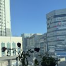 필라테스 주말 | 전주 필라테스 메소드 주말 수업 후기