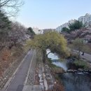 운중천반려견놀이터 이미지