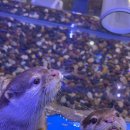 동탄대로19길 이미지