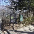 우면산 (예술바위 주변) | 우면산 - 산행인 듯 산책인 듯 [2026년 2월 25일 (수)]