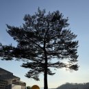 나무해담 이미지