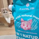 티에스엘 이미지