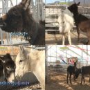 뭉치농장 이미지