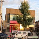 사파동130 이미지