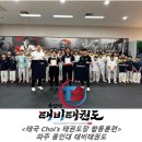 용인대 태비태권도장 이미지