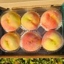 홍현농장 이미지