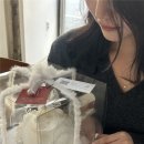 아니시케이크