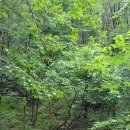 석룡산 화장실1 이미지