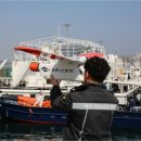 동해-단속-50 이미지