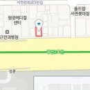 파라디아성형외과의원 티스토리