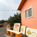 태수농장2 이미지