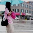 송이패션 이미지