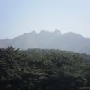 01-12 동구 이미지