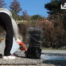 심지주유소 이미지