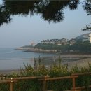 바다가 보이는 풍경 이미지