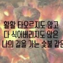 활활숯불 | 활활 타오르지도 다 식지도 않은 묵묵히 나의 길을 가는 숯불 같은 인생