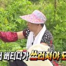 한방상회 이미지