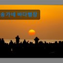 송가네 바다별장 네이버블로그