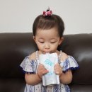 크로바목장 이미지