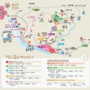 매화2길 이미지