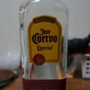 카사 쿠엘보 이미지