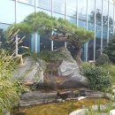 정원식당 앞 이미지