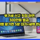 세무법인비즈택스강 | 부가세 신고 직접 하면 300만원 벌금, 대행 맡기면 5분 대기+세액 환급