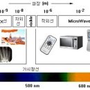 유미테라피