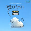 붓펜으로 하는 캘리그라피 | [공지] 돈되는 취미! 국비지원 캘리그라피 자격증 추천