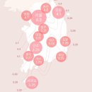 (3/25) 레진 압화 코스터 만들기 | 2026 벚꽃 개화시기 서울 🌸 잠실 석촌호수 벚꽃 후기 (만개 타이밍 꿀팁)
