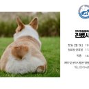 동편동물병원 이미지