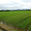 압록유원지 이미지