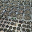 김영선농장 이미지