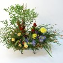 신사1-017 이미지