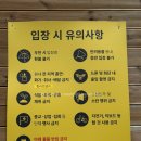동산 | [포천] 서울근교 아이와 함께 피크닉, 물놀이 하기 좋은 '서운동산' 후기