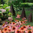 순천만힐링 이미지