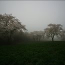 정권목장 이미지