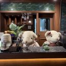 영광해변중앙 | [강릉] 강릉역 감성숙소 달빛강릉 추천 내돈내산 후기