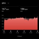 2026 서울마라톤, 풀코스 대회 후기