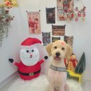 브리앙뜨몽 이미지