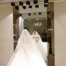 결혼 준비 _ 본식 드레스 셀렉편 👰🏻‍♀️ [로브드샤]