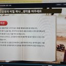 케이에듀코칭