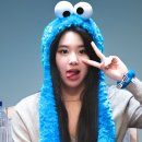 빼꼼낼름 이미지