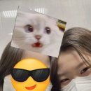 곱들락펜션 이미지