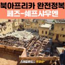 개냥이 세계 | 모로코 여행 일정 | 페즈 시티투어·가죽염색 테너리·세계 3대 블루시티·쉐프샤우엔·전망대 추천