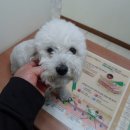 신월동111 이미지