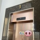 강릉D마트 | 강릉 풀빌라 스카리아풀빌라 강릉숙소추천 깔끔숙소 내돈내산 후기
