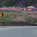 진주봉원중학교 이미지