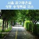 송정둑길 이미지