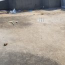 우리주유소 태양광발전소 이미지